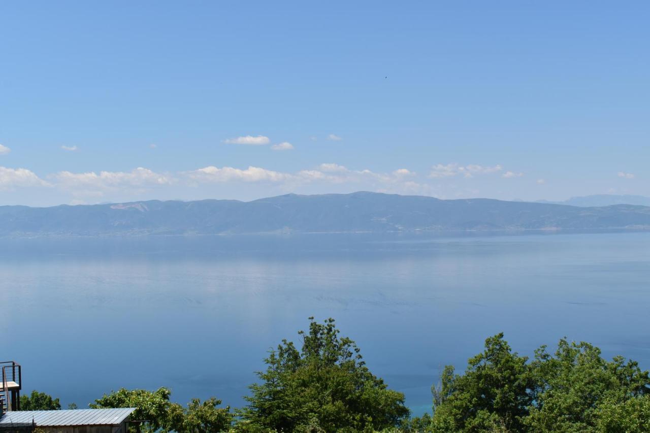 Risteski Guest House Elshani Εξωτερικό φωτογραφία