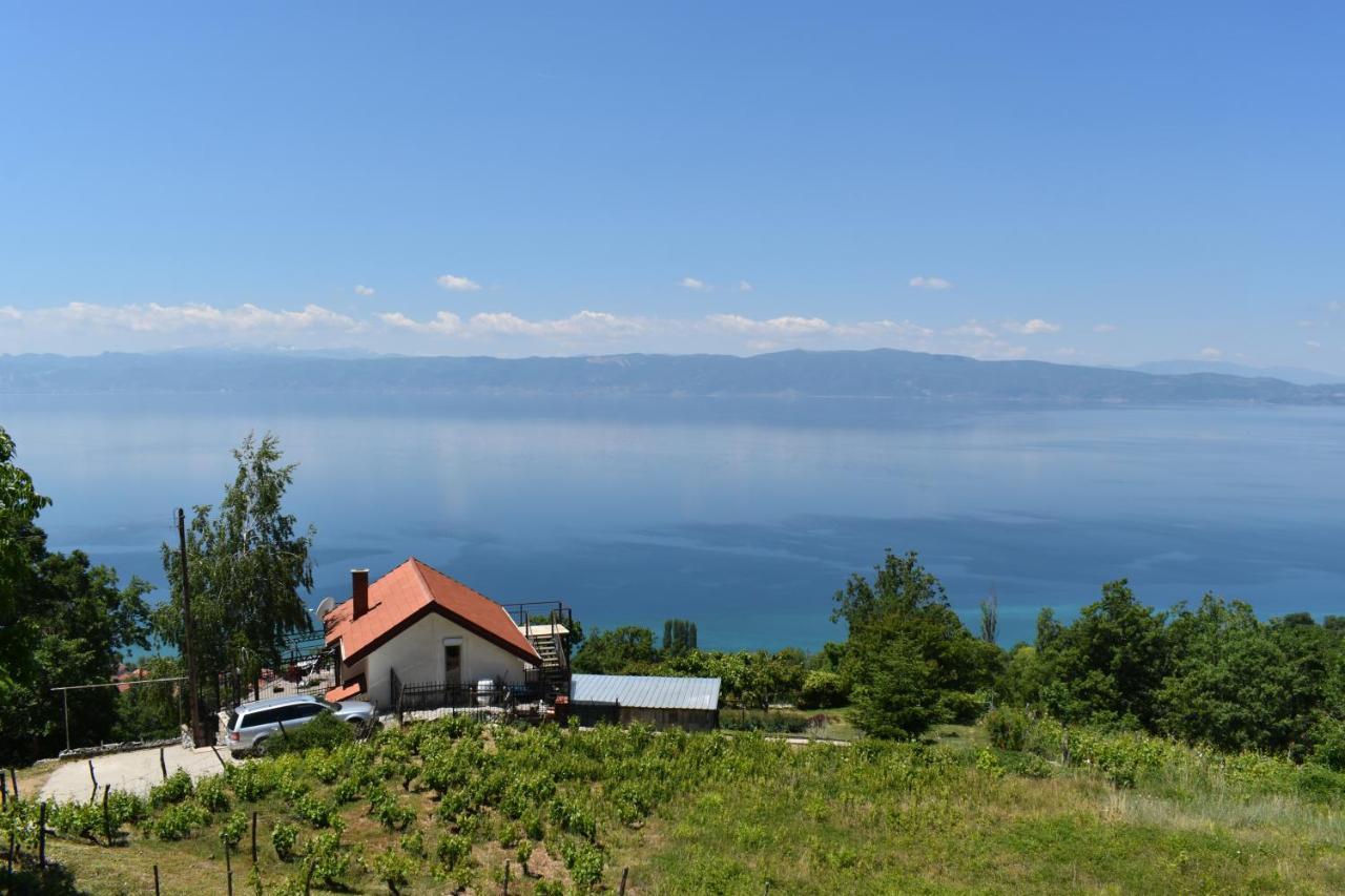Risteski Guest House Elshani Εξωτερικό φωτογραφία