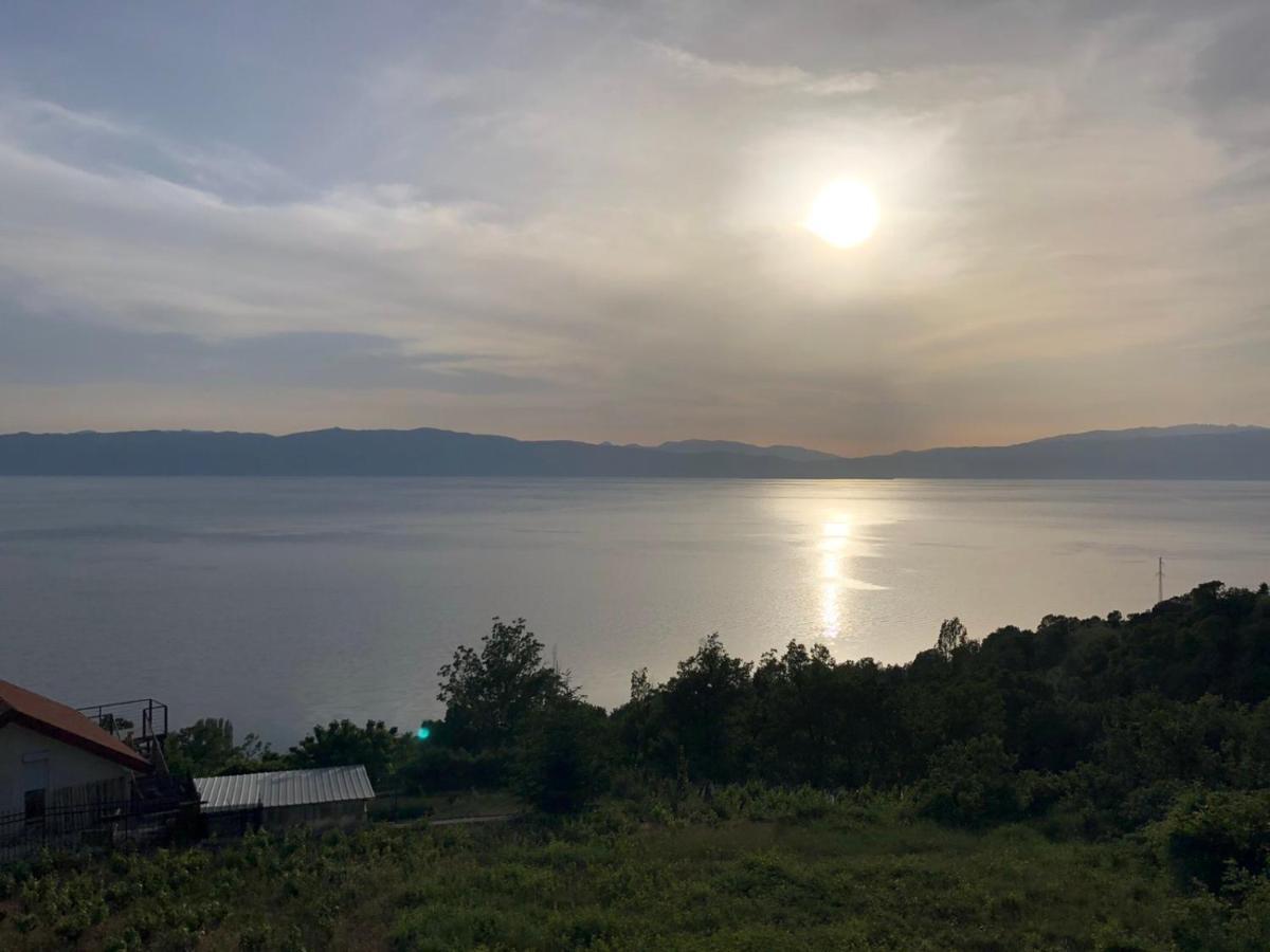 Risteski Guest House Elshani Εξωτερικό φωτογραφία