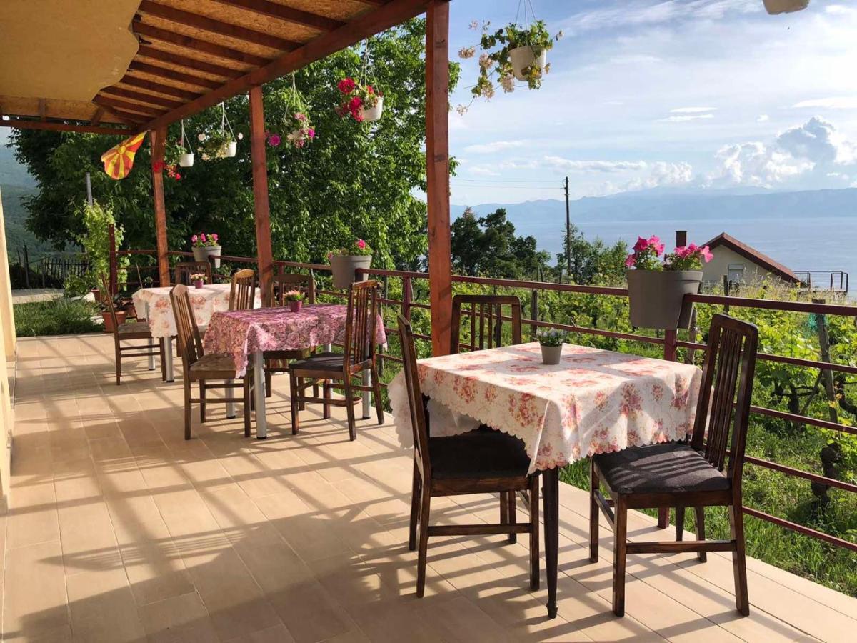 Risteski Guest House Elshani Εξωτερικό φωτογραφία